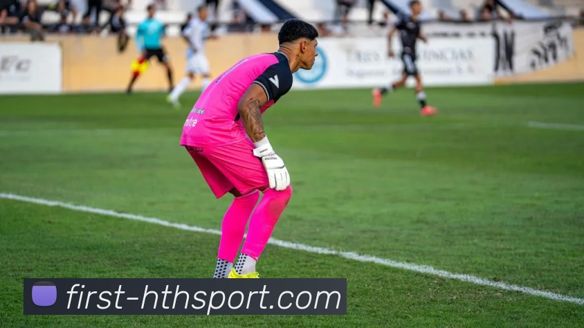 hth体育平台生态图